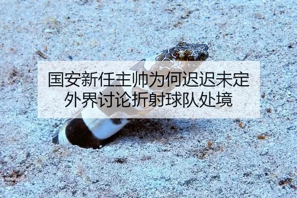 国安新任主帅为何迟迟未定 外界讨论折射球队处境
